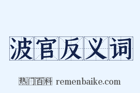 波官反义词是什么意思的图片